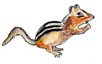 Watercolor Chipmunk